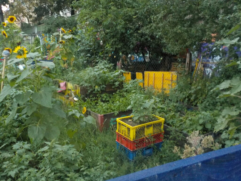This picture shows plants in a neighborhood garden in the city.