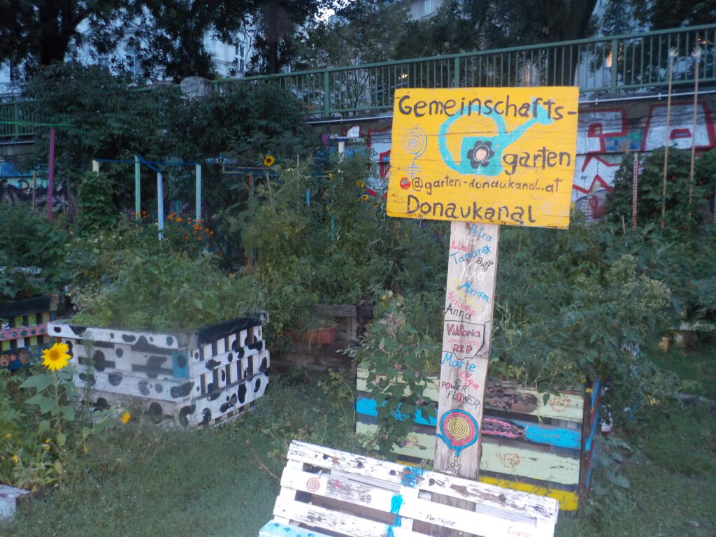 This picture shows a community garden along the Danube Canal in Vienna.