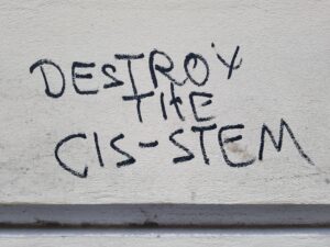 graffiti reading "destroy the cis-stem"