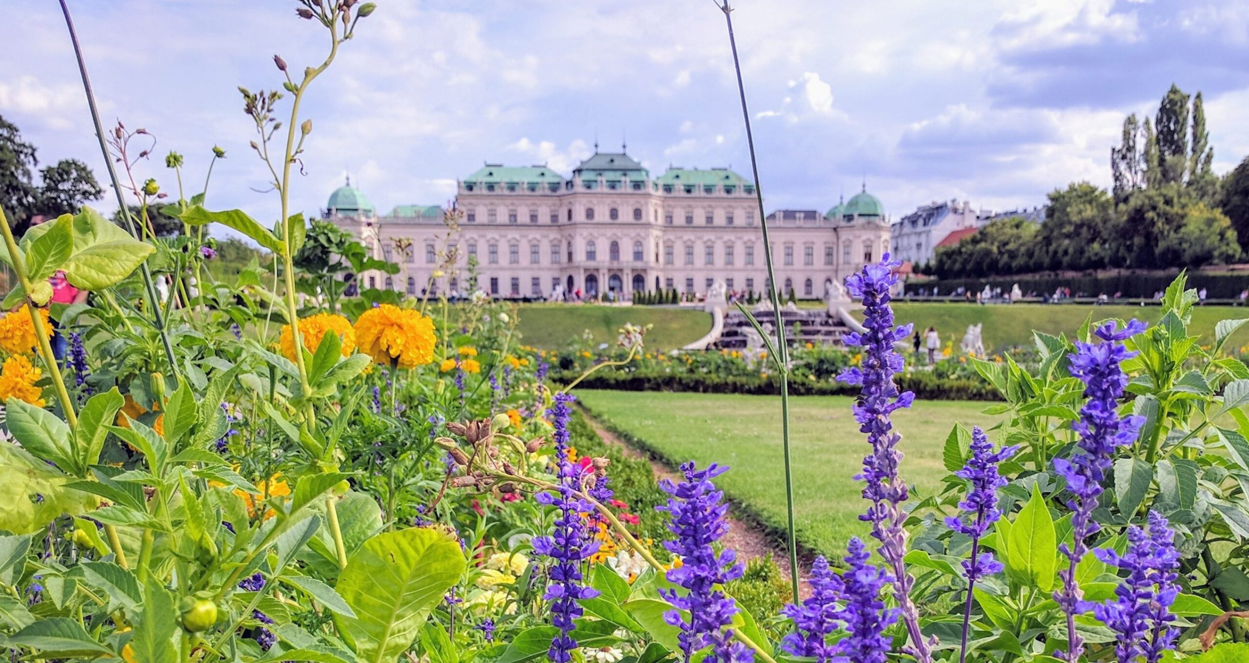 Schloss Belvedere mit Blumen